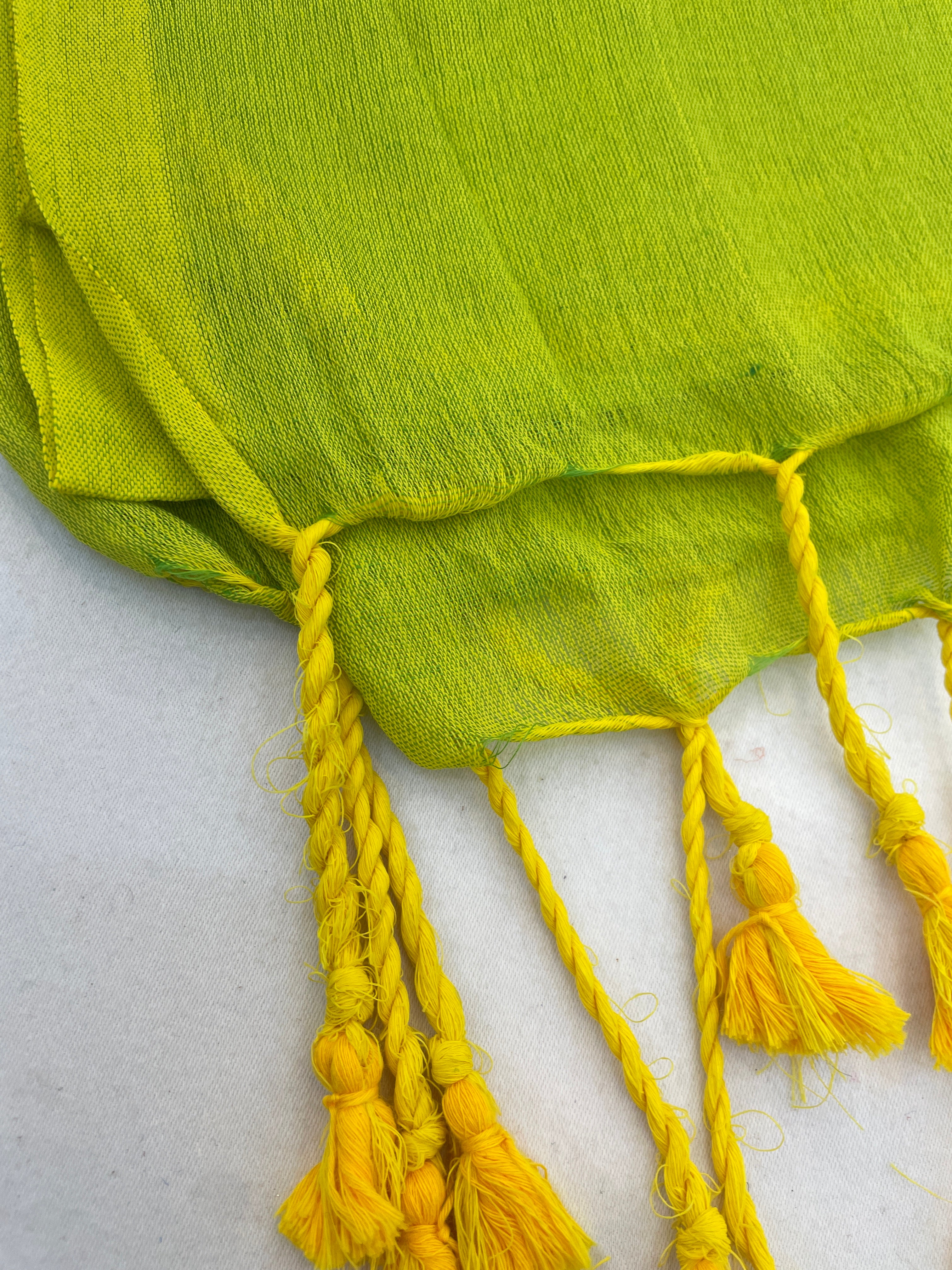 PARROT HANDLOOM COTTON SAREE WITH PRINTED BLOUSE